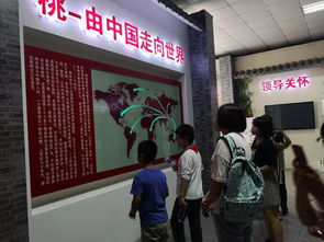 桃香引巧思，非遺潤童心——奉賢錢橋?qū)W校暑期親子體驗(yàn)活動(dòng)側(cè)記